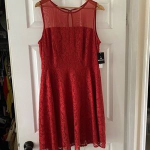 Gorgeous Rust Colored Lace Dress With Gold Zipper